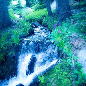 Meet your Posher, Jade